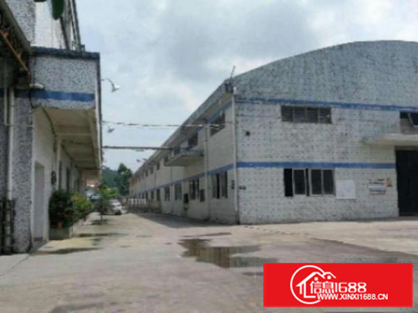 万江独院单一层钢构厂房出租6000平出租可分租