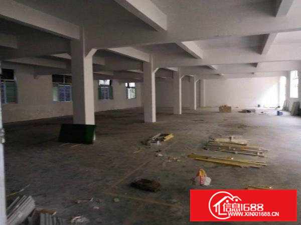 工业区标准厂房一楼800平方米出租