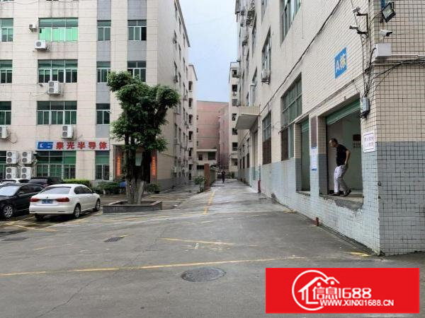 安良五村原房东一楼厂房1500平方，面积实量，可分租