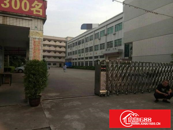 石排新出原房东标准厂房(10000)平方出租