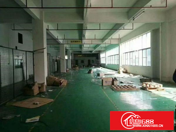 新出，华南城附近新出楼上1200平，大小可分组