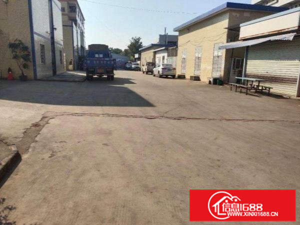 金美原房东独门独院单一层厂房1500平方