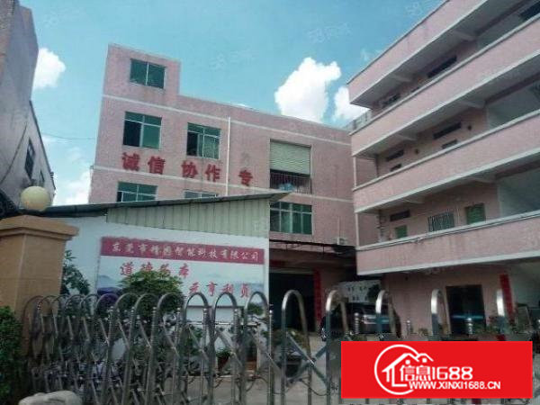 大岭山鸡翅岭村新出原房东独门独院3620平米厂房招租