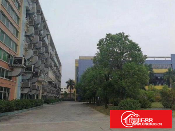 龙背岭10000平方独门独院标准厂房招租，配电大