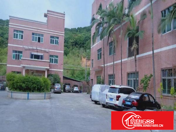 花园式独院厂房分租标准厂房一楼750平米带现成装修好水电办公