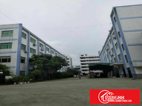 惠阳新圩标准厂房6500平方出租，带装修