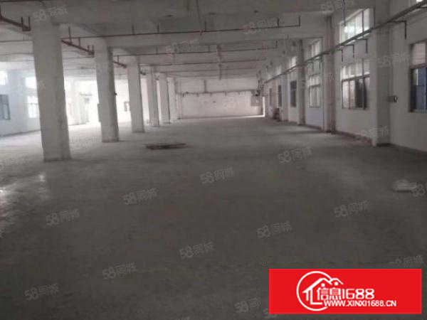 石排标准一楼580方出租，租20元，水电齐全，园区规划整洁