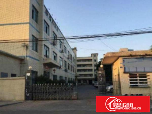 高埗独院标准一楼500-2000方厂房招租有现成装修水??电