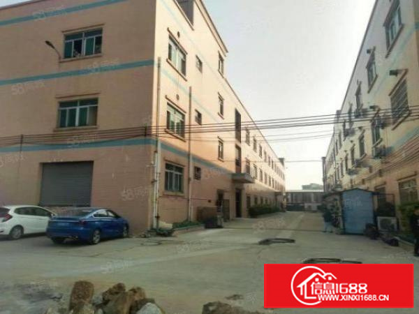 石碣桔州一楼570方（现成装修水电齐全）