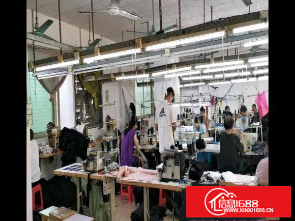 电梯厂房可做电商写字楼，可分租，已装修好