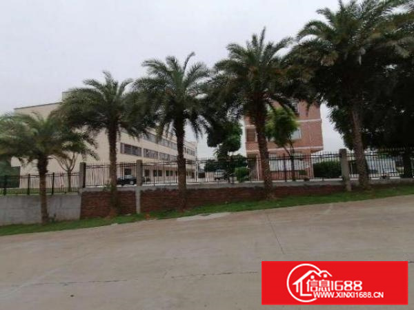 独门独院带牛角10米可以分租有宿舍可以办公