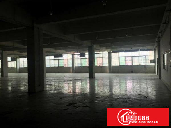 一手业主龙岗丹竹头地铁站附近厂房3800平米