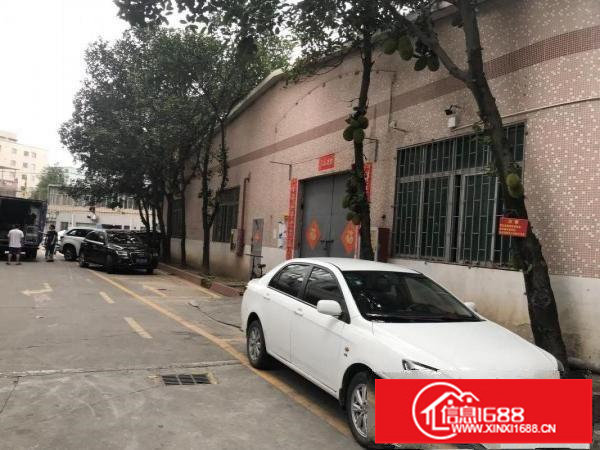 坂田特价一楼30块，适合各行各业，无污染，无噪音等行业！