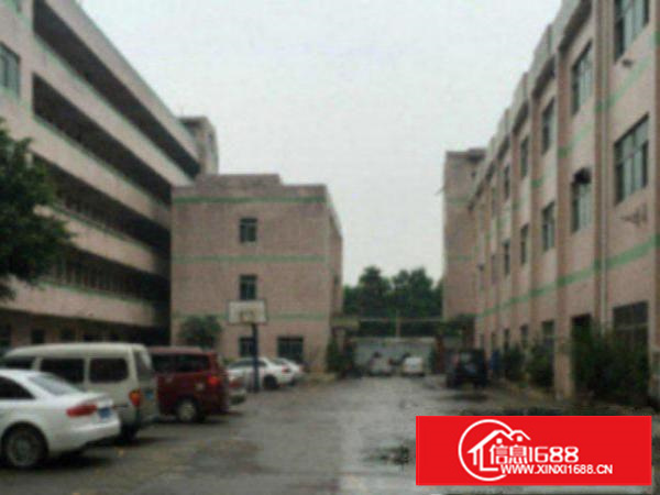 万江500-3000平独院标准厂房可以任意分租配电按需