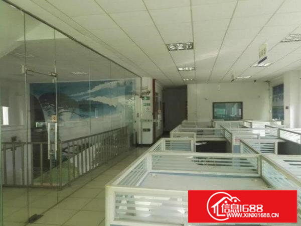 龙岗新生二楼1100平带装修标准厂房出租