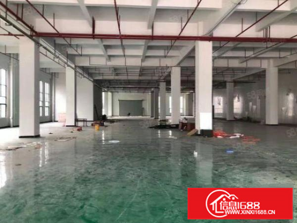 北滘港标准首层2500丙二类消防国有土地证独门独院a