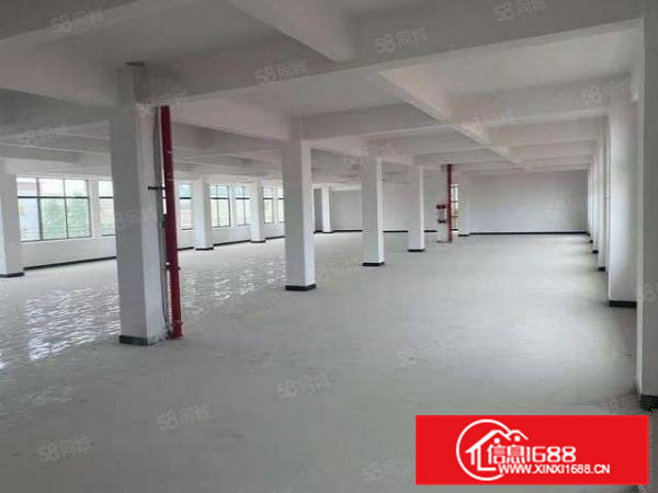 寮步西溪原房东带红本实际面积1650平全新厂房出租