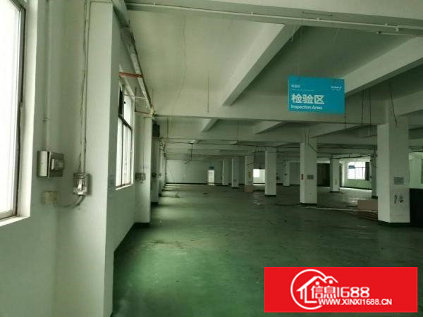 坂田上雪科技园一楼1350平出租