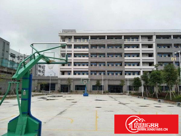 中山市三角镇10万方全新科技产业园招租(可做化工)