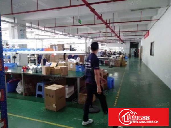 凤岗金凤凰工业区3楼上空出原房东精装修1200平厂房出租