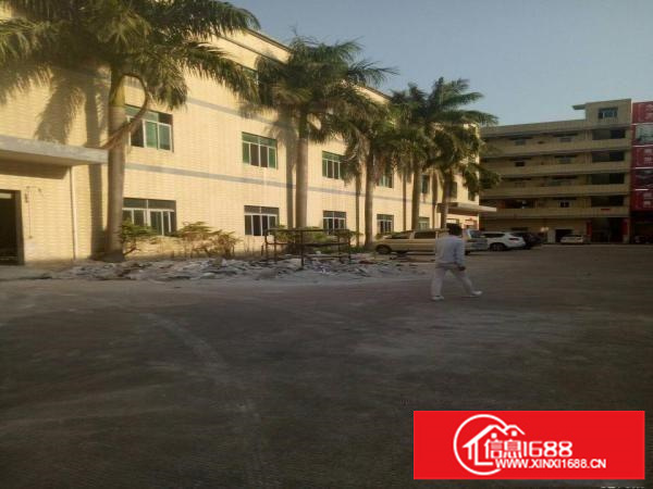 坪地坪西一楼6米高600平出租