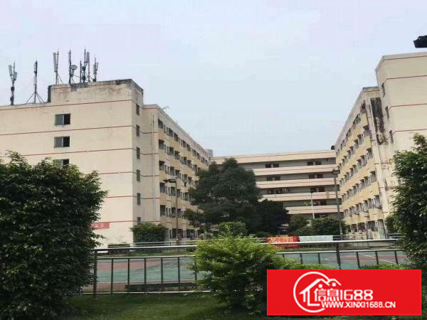 出租坑梓独院厂房6900平低价出租