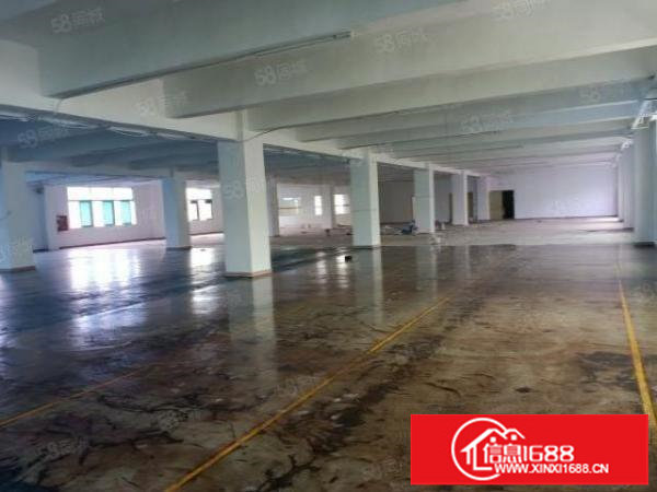 福永塘尾工业园精装修厂房出租2500平，超低价