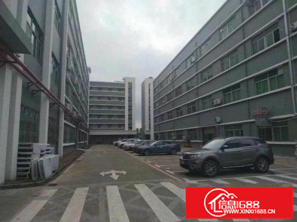 龙岗南联大型工业园3000平带装修厂房出租可分租