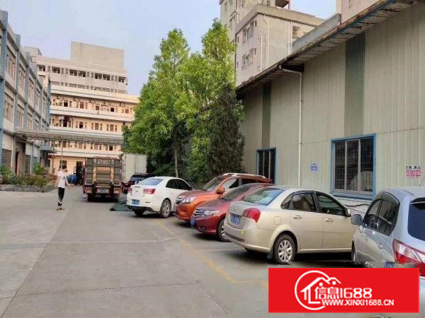 大岭山原房东单一层钢结构厂房1300平米分租，带行车