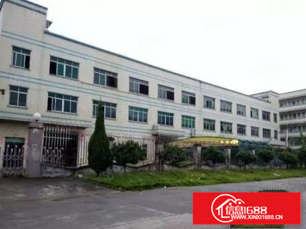 塘厦大坪大马路边一楼厂房1350平方出租，带牛角