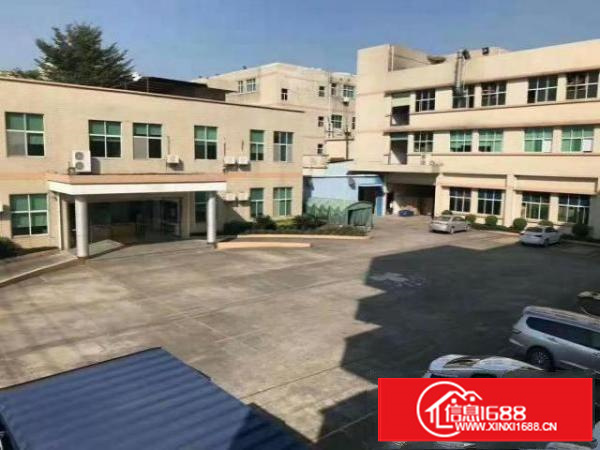 万江独院标准1500平方800或1000㎡出租