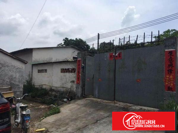 蛟乙塘800平方米单一层钢构厂房出租！！独立带厨房！自行管理