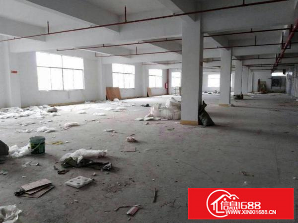 惠阳秋长茶园原房东1350花园式厂房出租