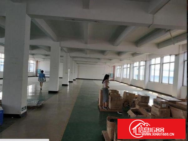 坂田坂雪岗大道楼上厂房900方招租，带地坪漆