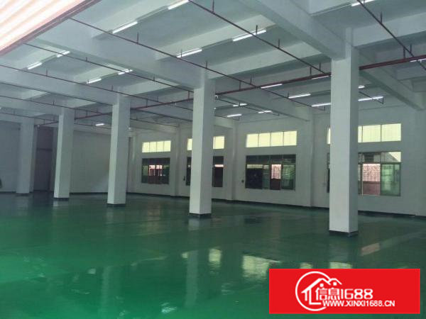 东莞横沥新出独院标准厂房5000平方出租带地坪漆