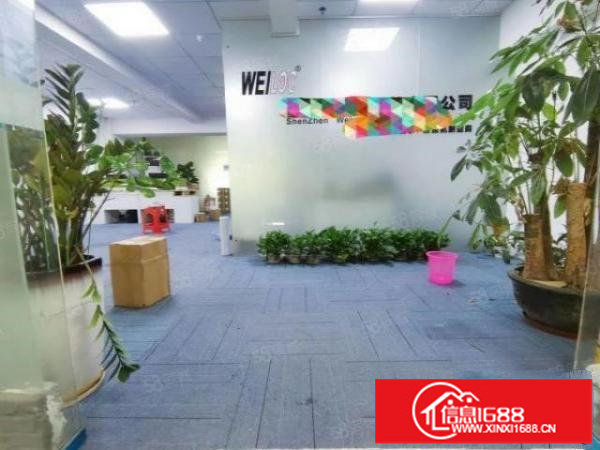 龙华民治电商园小面积办公室精装修