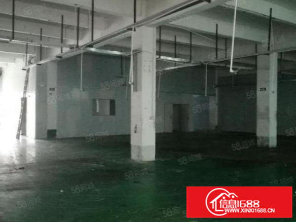 凤岗独院厂房5000平方低至16元