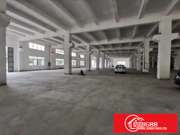 乐从良村工业区三乐路边标准厂房带牛角