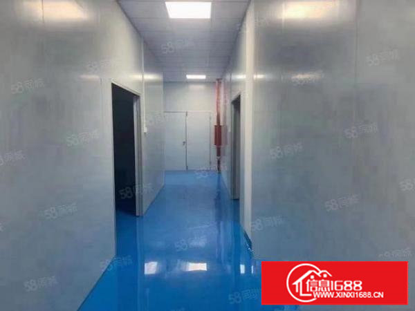 塘厦清湖头超靓标准厂房出租，600平精装修现成主线到车间