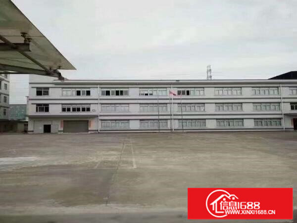 横沥新出原房东标准厂房带消防喷淋豪华装修工业用地14000平