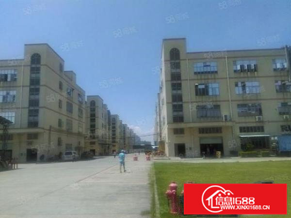 大朗镇水平村一楼新空出1800平有装修厂房出租7米高带装修