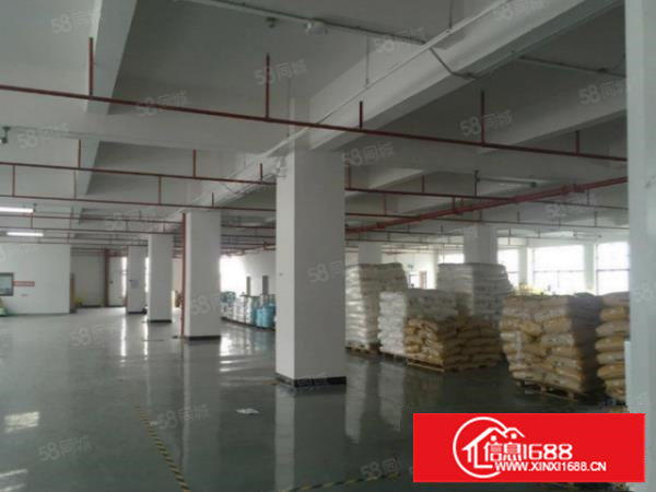 塘厦桥陇刚空出5000平标准独院厂房,现成装修主线,价格美丽