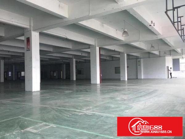 布吉百门前村委厂房3000平方使用率高200起分