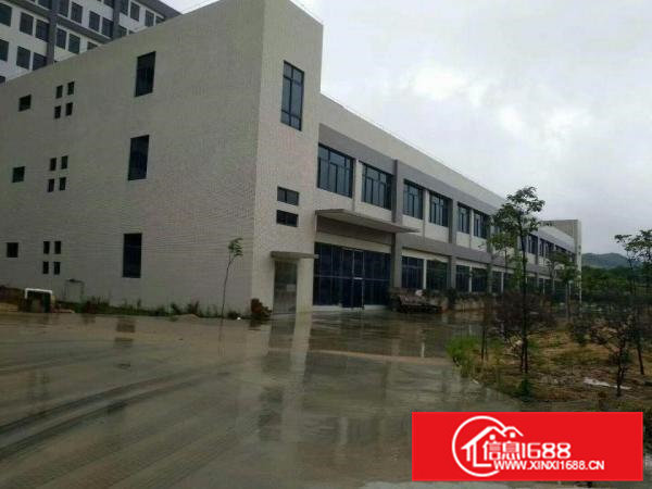 出租桥头镇原房东独院厂房总面积8000平方可分租