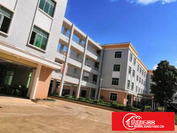 大朗镇环境优美工业园新出一楼1000平方，豪华装修