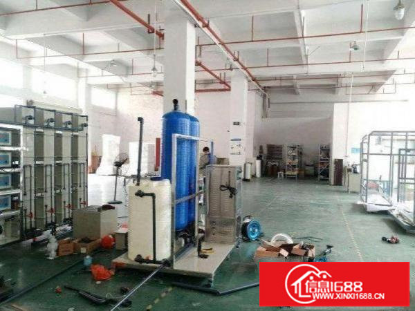 （龙城街道带装修，手慢无）1楼900平带装修厂房出租