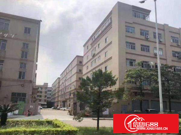 地铁口电商贸易仓库厂房办公方正光足免佣免管理费