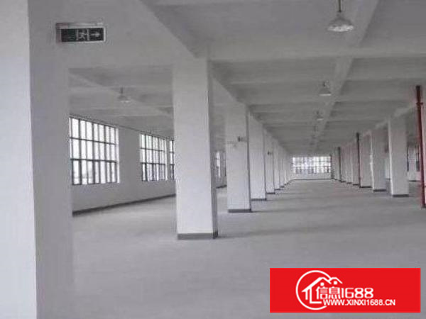 平湖鹅公岭附近先有独栋二楼三楼各1000平方厂房出租，可分租