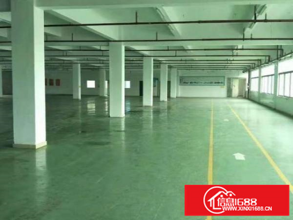 高埗工业园分租楼上2500平方全新地坪漆带精装办公带喷淋消淋