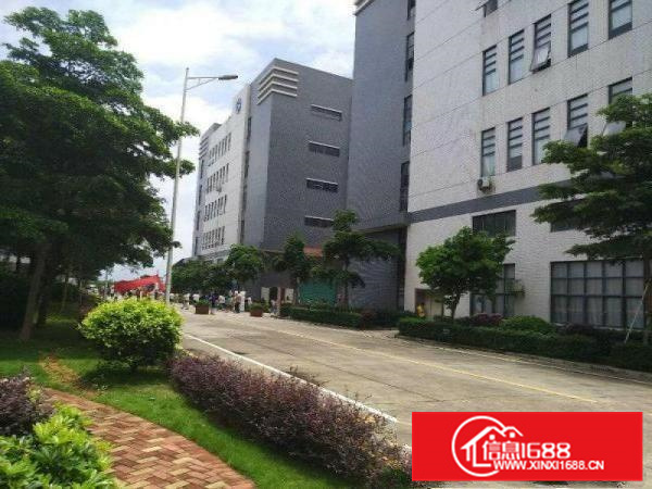 惠州市三栋镇新建10万平方标准厂房出租